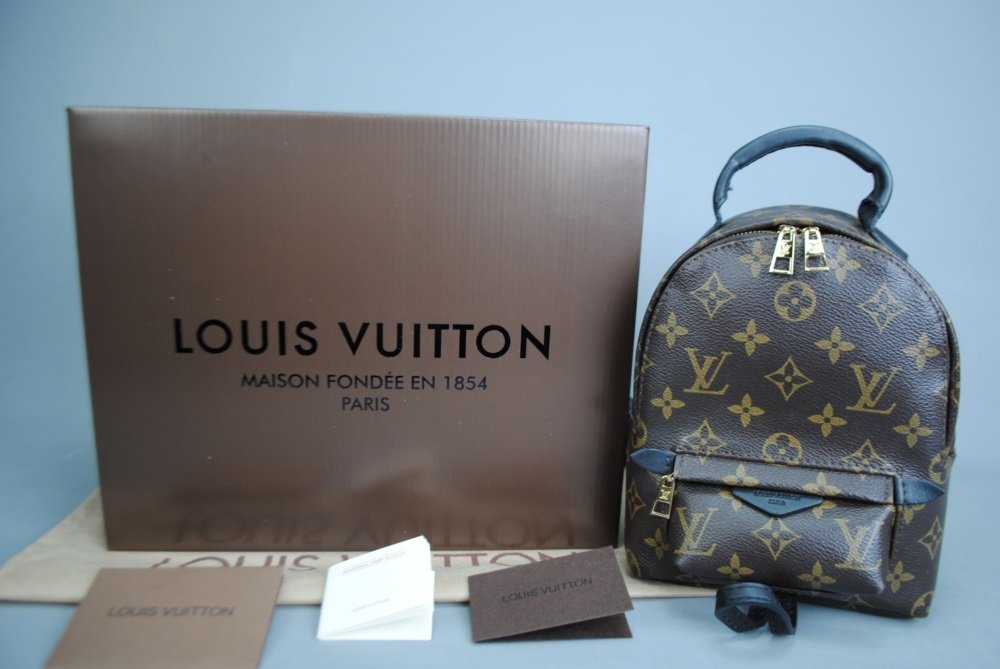 LOUIS VUITTON PALM SPRING CLASIC PM MİNİ BOY