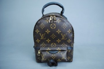 LOUIS VUITTON PALM SPRING CLASIC PM MİNİ BOY