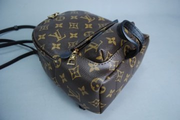 LOUIS VUITTON PALM SPRING CLASIC PM MİNİ BOY