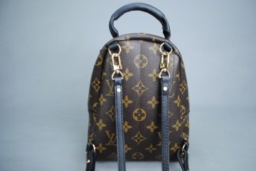 LOUIS VUITTON PALM SPRING CLASIC PM MİNİ BOY